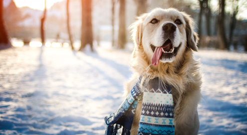 Be prepared for winter