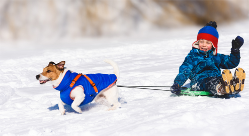 Emmener son chien aux sports d'hiver