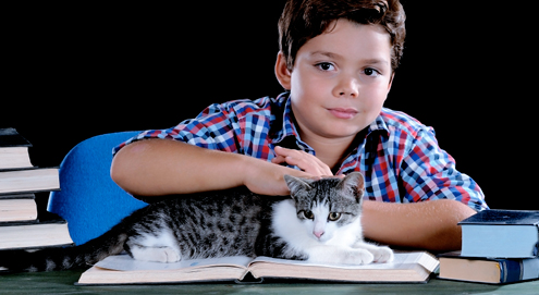 Voorlezen goed voor kinderen en asielkatten