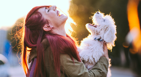 Les animaux de compagnie vous rendent heureux