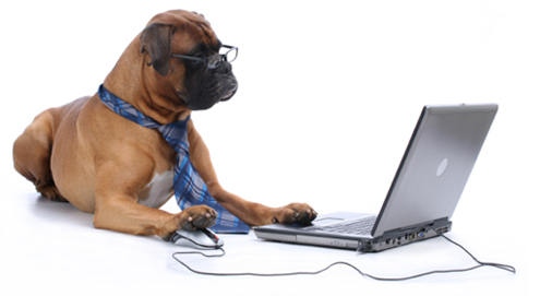 Nieuwe website voor online dierenapotheek Medpets.nl