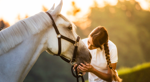 Ontworming bij paarden