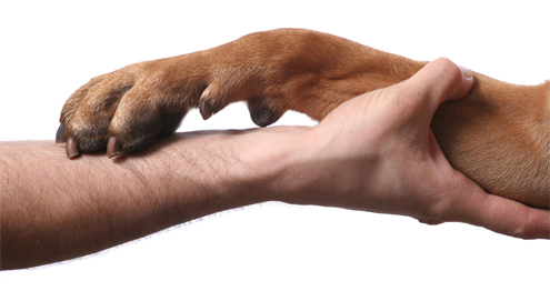 Recognising and supporting osteoarthritis