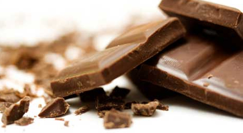 What if my dog or cat eats chocolate?