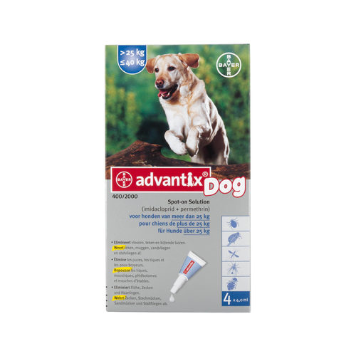 owalo design Advantage Hunde