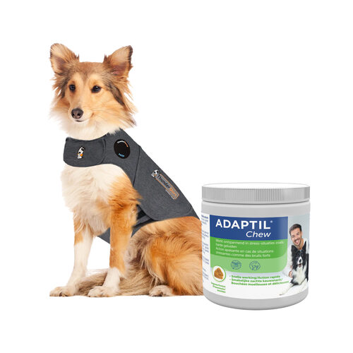 adaptil chews