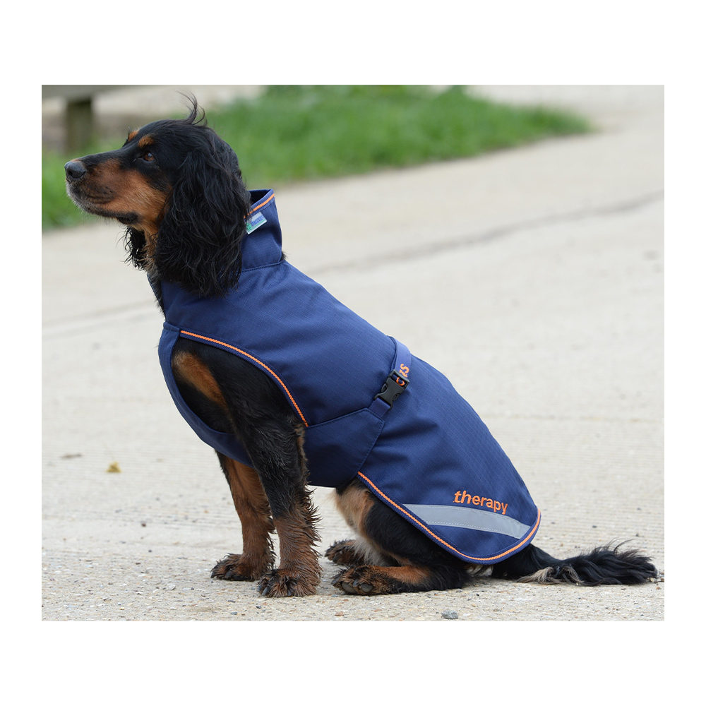 Bucas Recuptex Therapy Dog Rug Dog Vetsend.co.uk