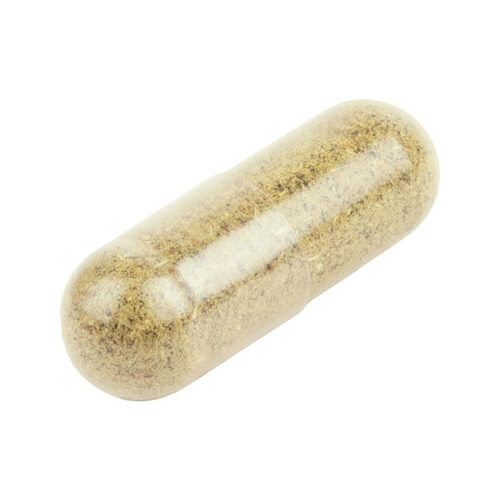 Dr. Ann's Anal Gland Support Hond Bestel