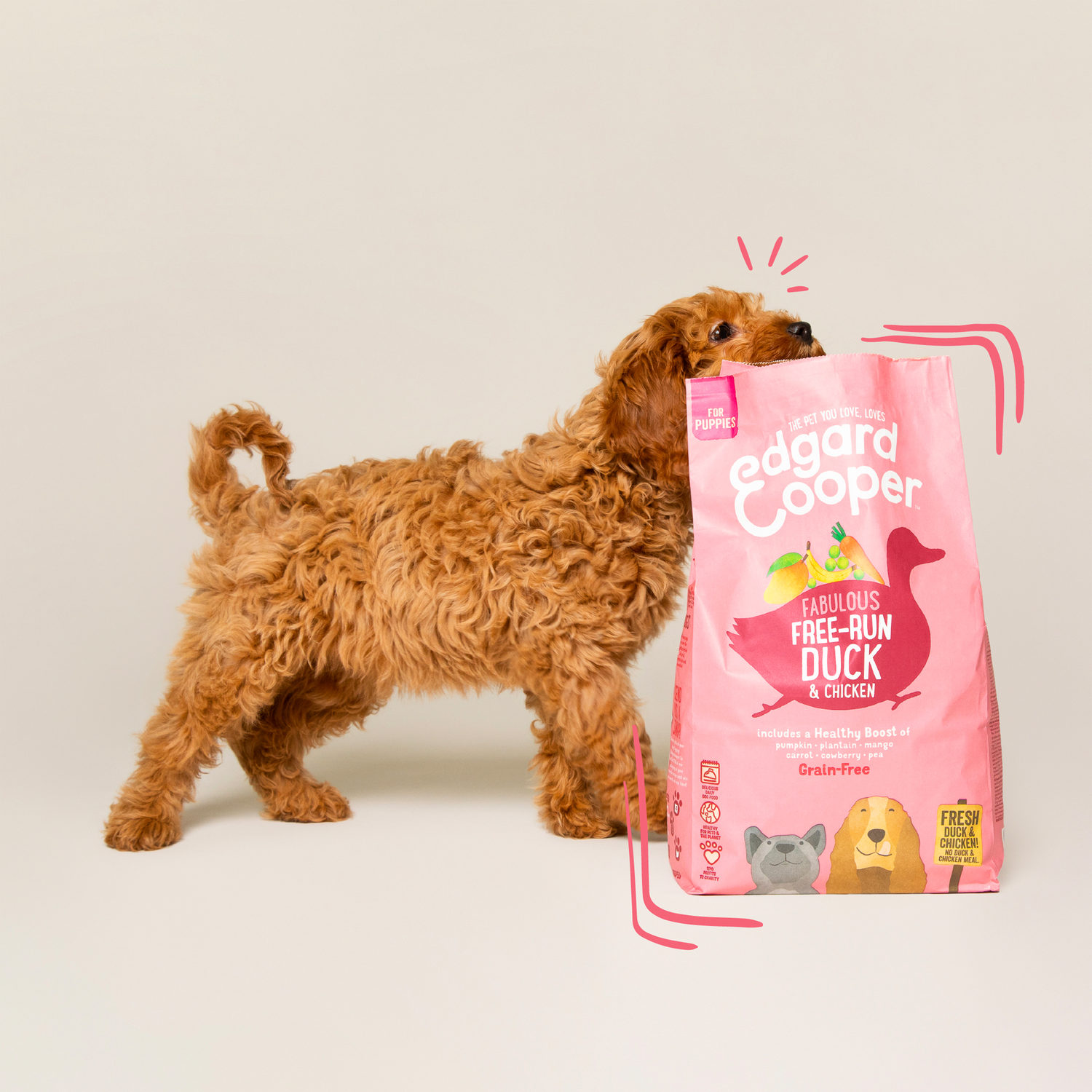 Edgard & Cooper Natvoer voor honden, puppy's, junior, biologisch vochtig, zonder granen, 100 g x 17, kip en vis, gezonde voeding, smakelijk en evenwichtig, vers vlees Edgard & Cooper Natvoer voor honden, puppy's, junior, biologisch vochtig, zonder granen, 100 g x 17, kip en vis, gezonde voeding, smakelijk en evenwichtig, vers vlees