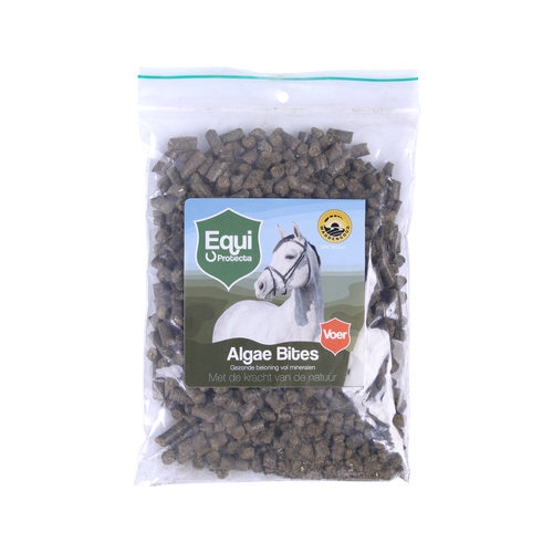 Equi Protecta Algae Bites Horses Order