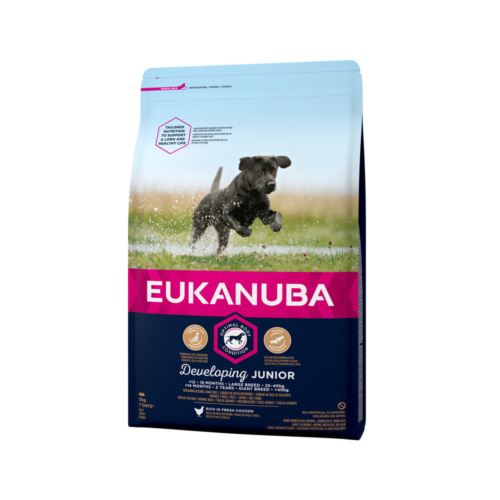 Eukanuba Dog Developing Junior Large Breed