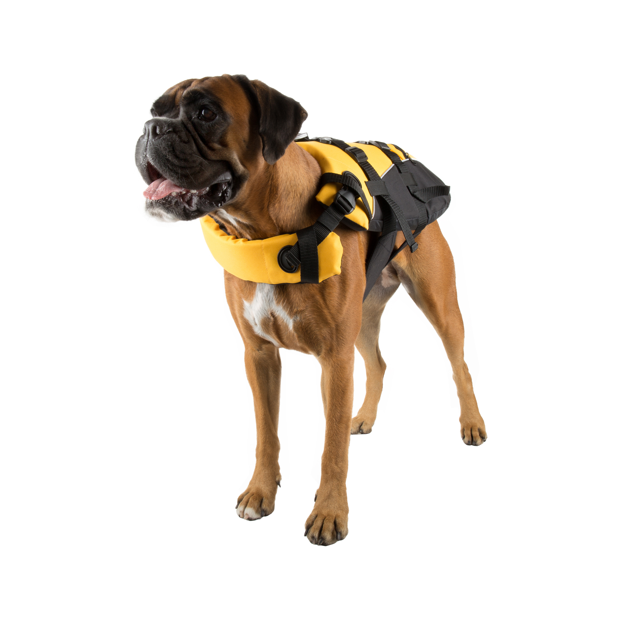 EzyDog Life Jacket Dog Flotation Device Safe Swimming