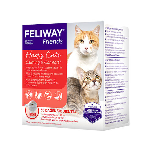 feliway katze
