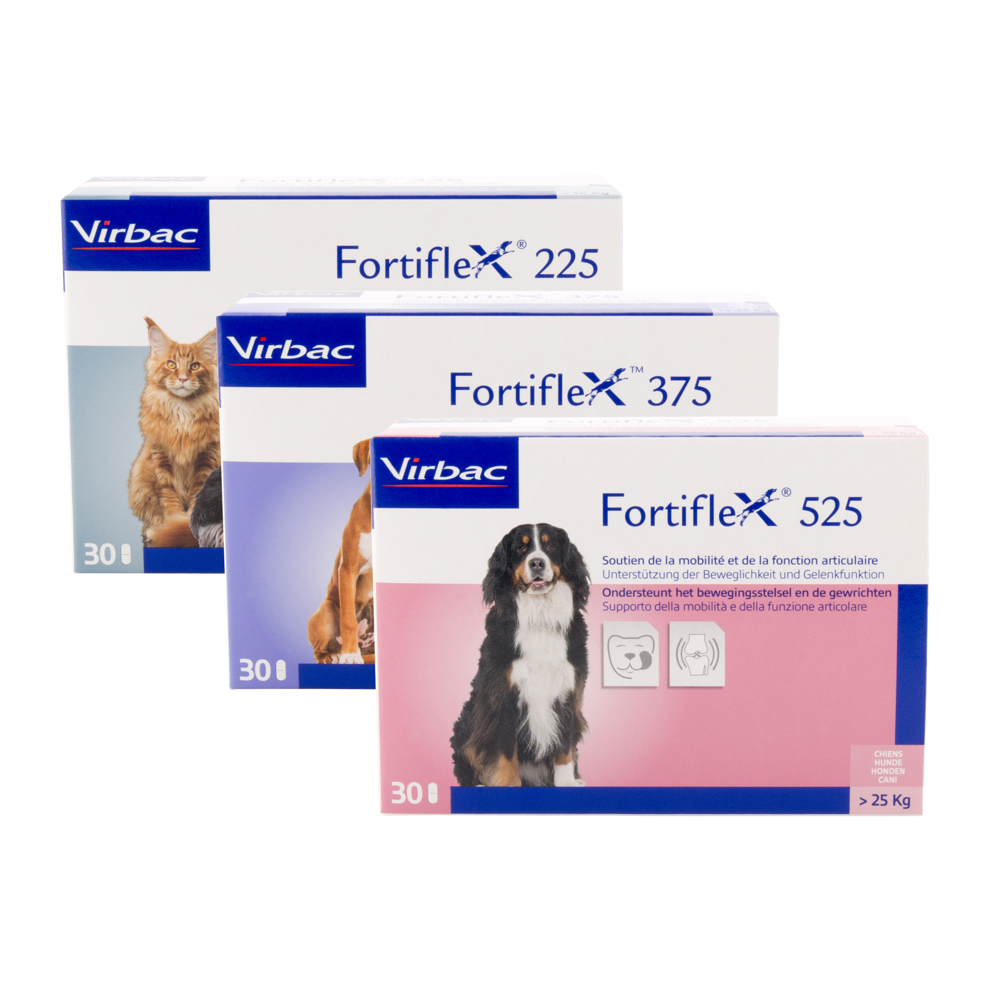 Fortiflex 225, 375 and 525 | Order Online