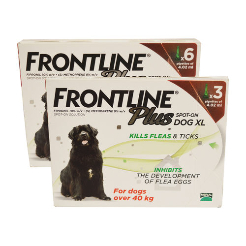 frontline spot on xl