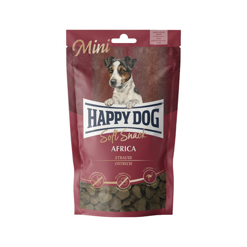 mini africa happy dog