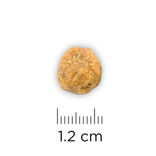 Hill's h/d Canine Prescription Diet Shop Today