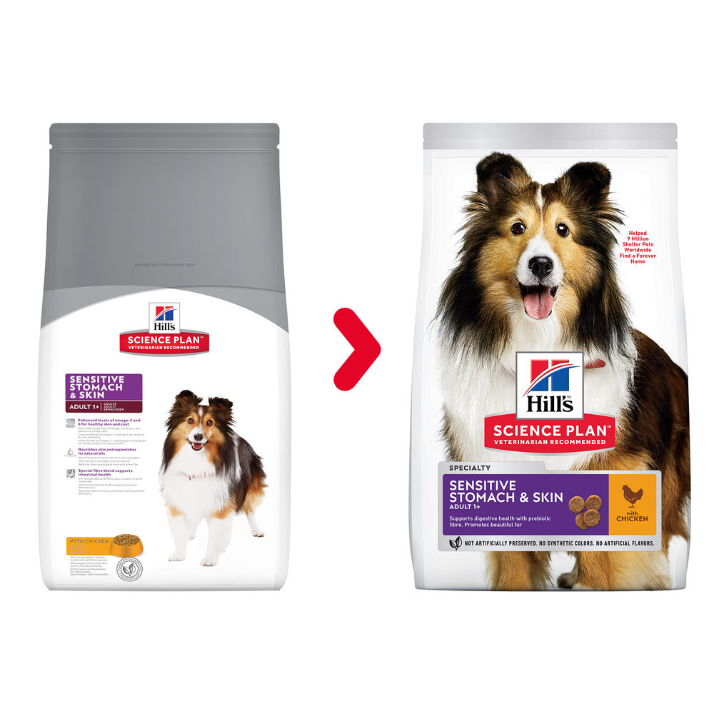 Hill's - Adult Sensitive Stomach & Skin | Hunde