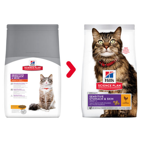 Hill's Science Plan Adult Sensitive Stomach & Skin