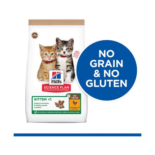 hills kitten 1
