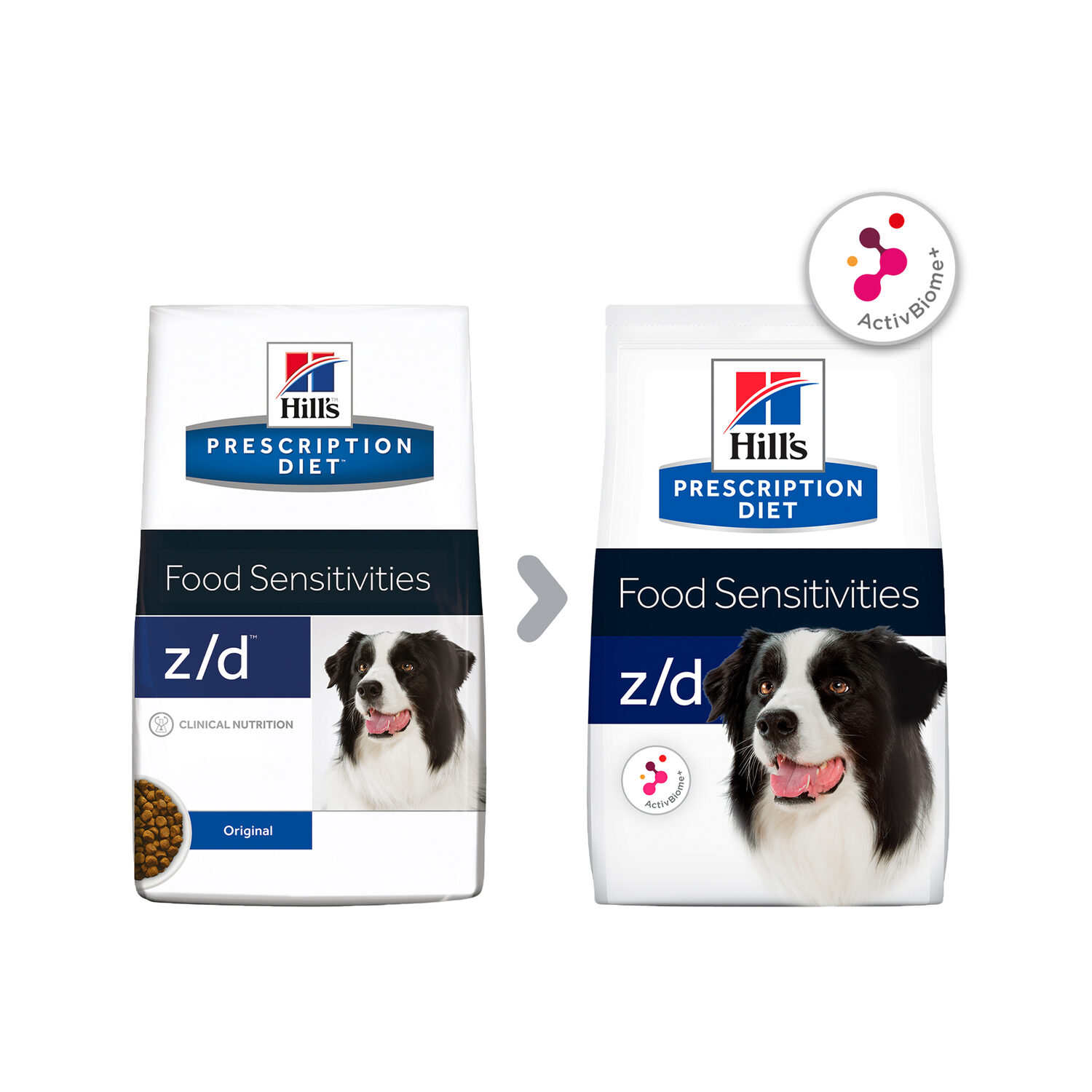 Hills z/d Canine Hund Bestellen