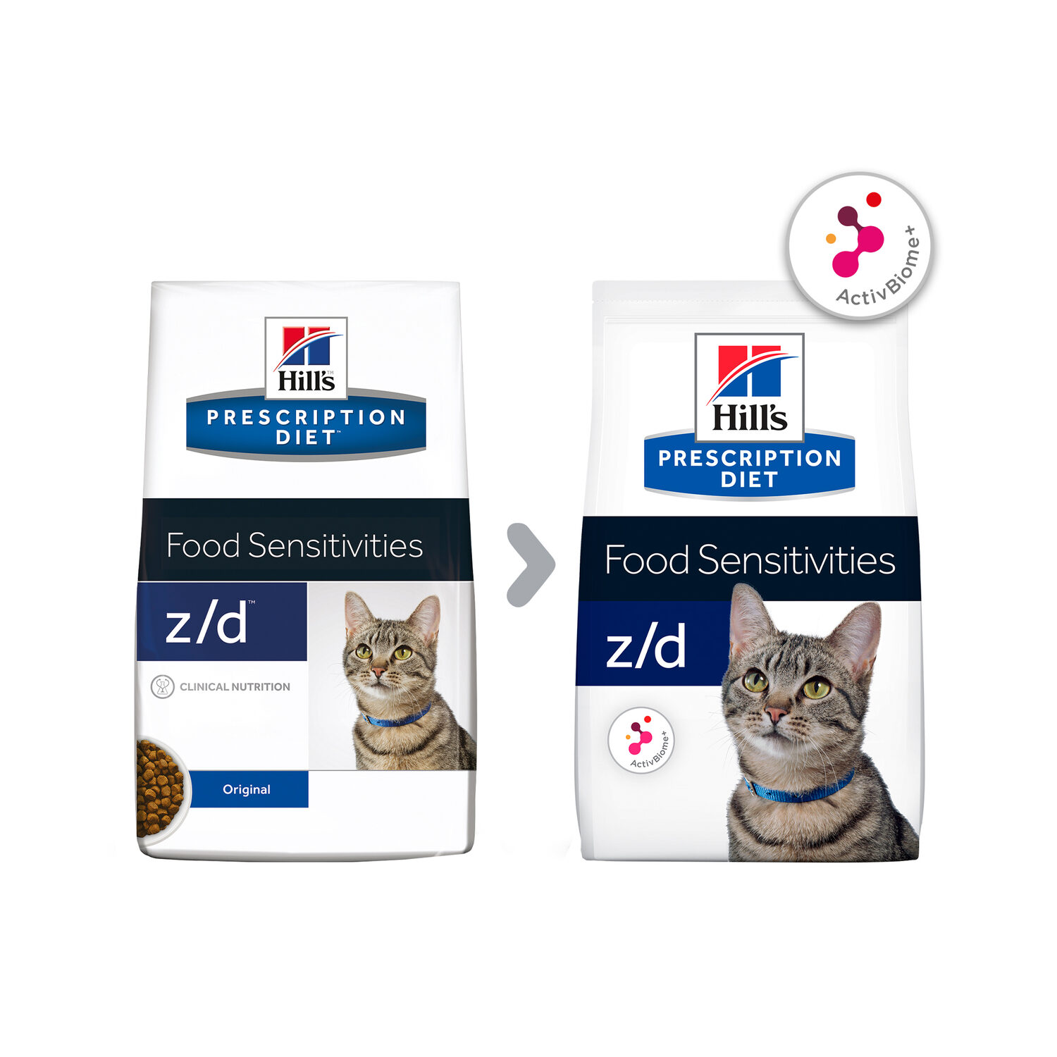 Hills z/d Feline Katze Bestellen