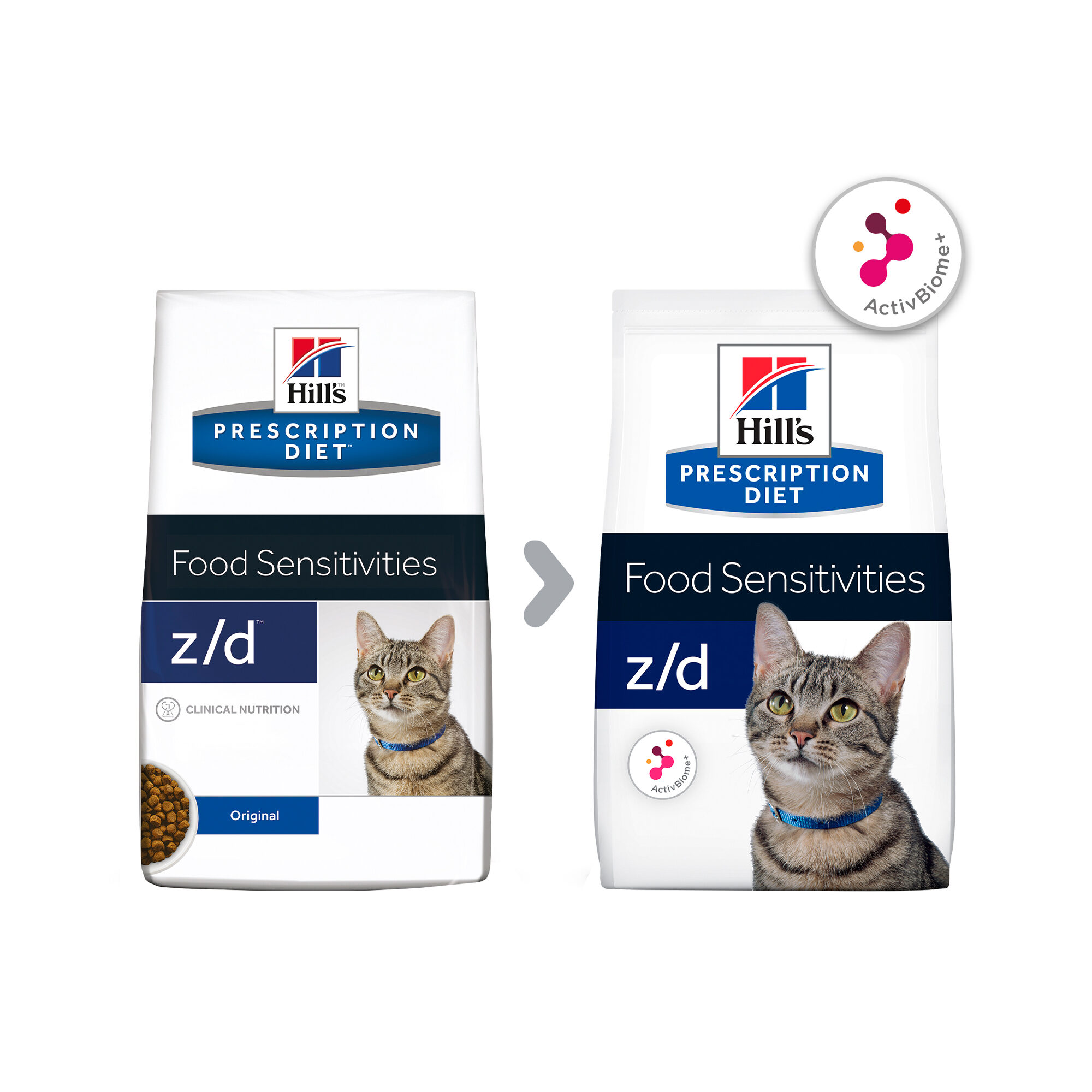 Hills z/d Feline | Katze | Bestellen