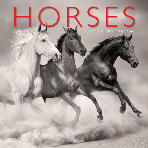 Horses Kalender 2020