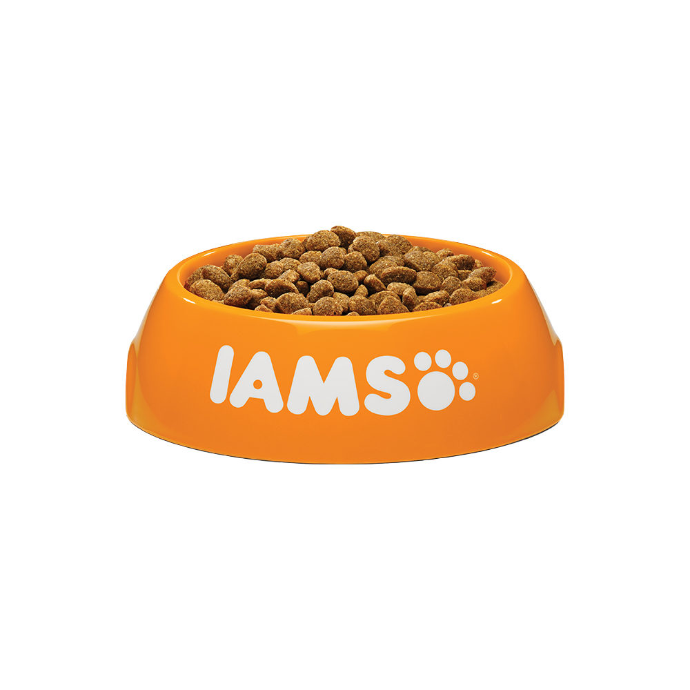 IAMS Dog Light in Fat Dog food Order