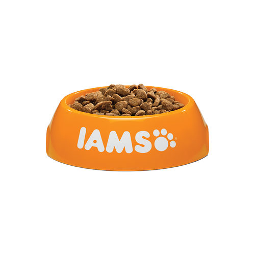 iams junior