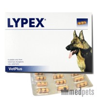 symptomen alvleesklierontsteking hond