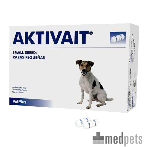 Aktivait Demenz Hunde Bestellen