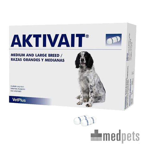 Aktivait Demenz Hunde Bestellen