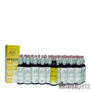 bachbloesems bestellen