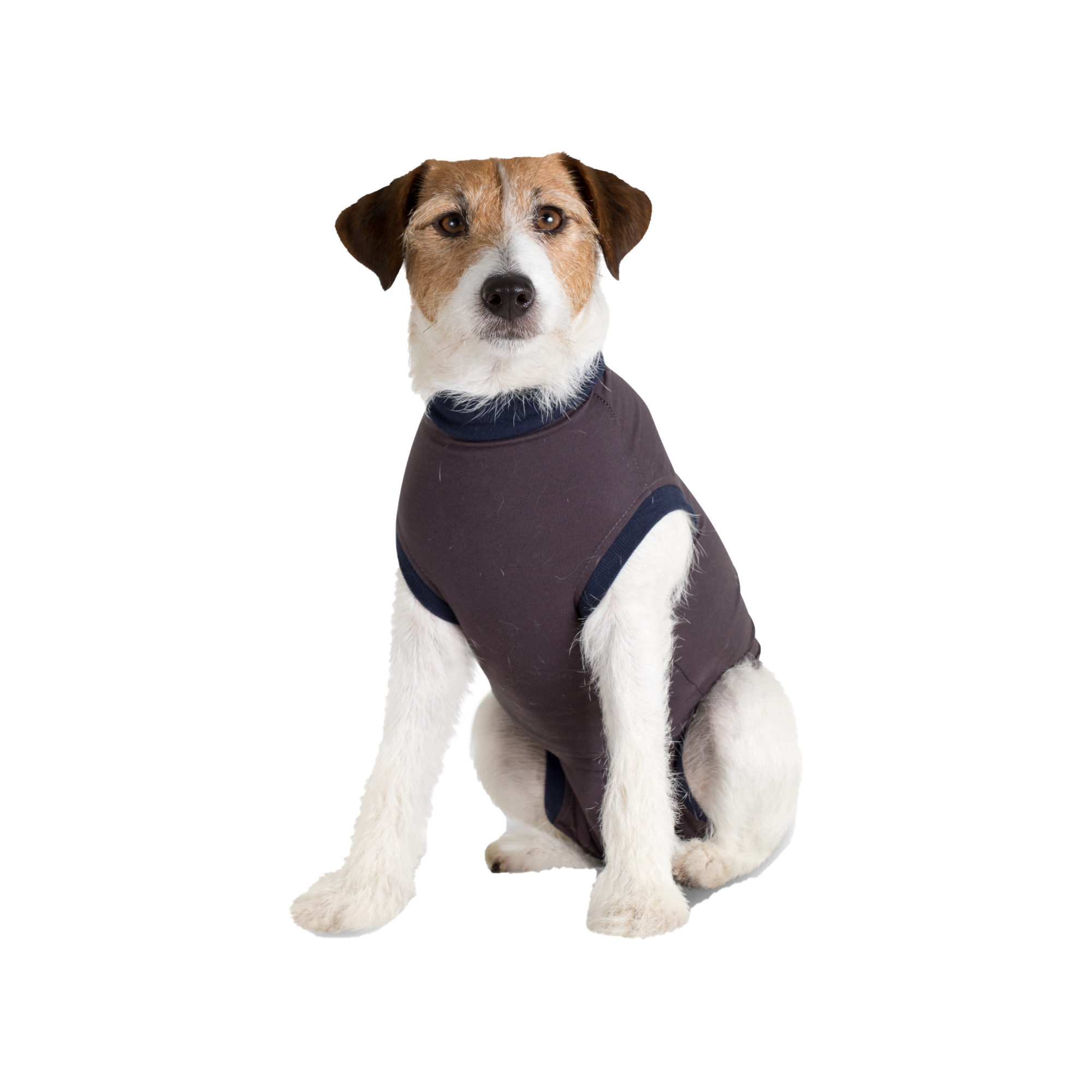 Jacketz Medical Bodysuit Dog Shop