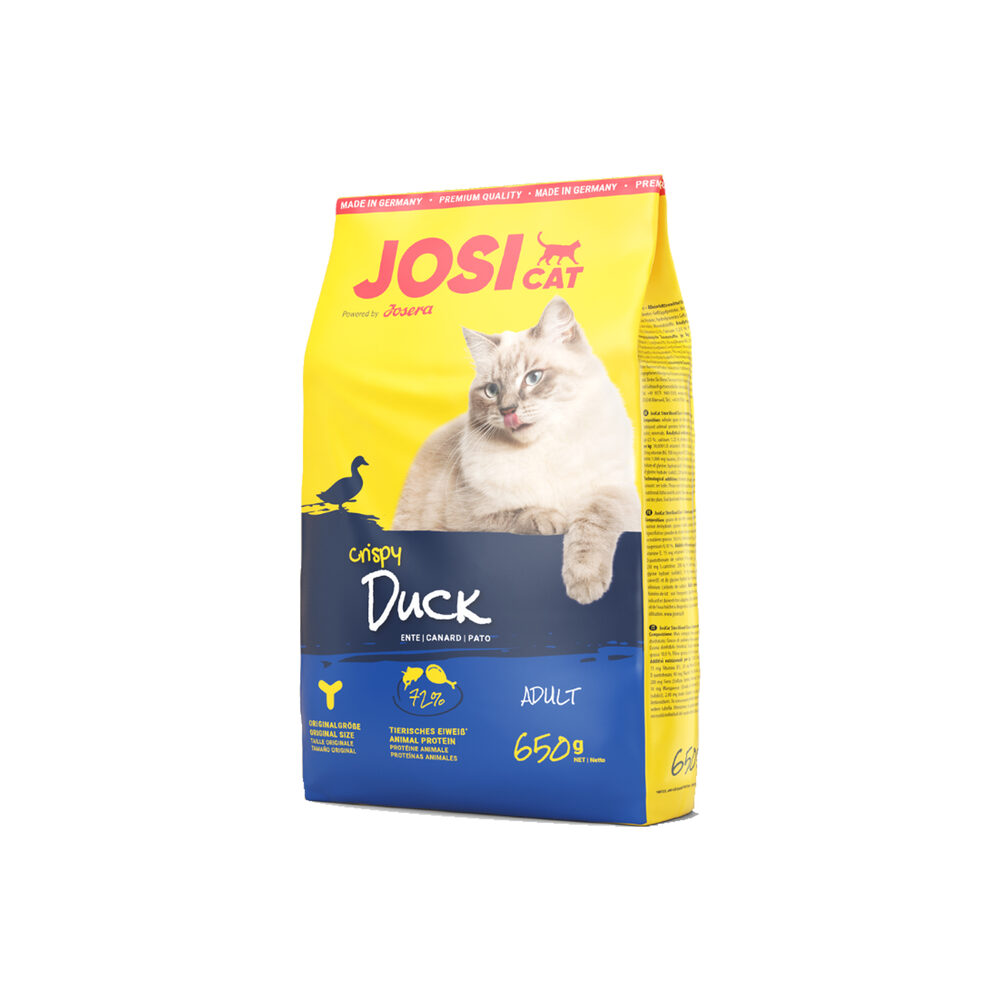 JosiCat Kitten (1 x 10 kg) | Premium Trockenfutter für wachsende Katzen