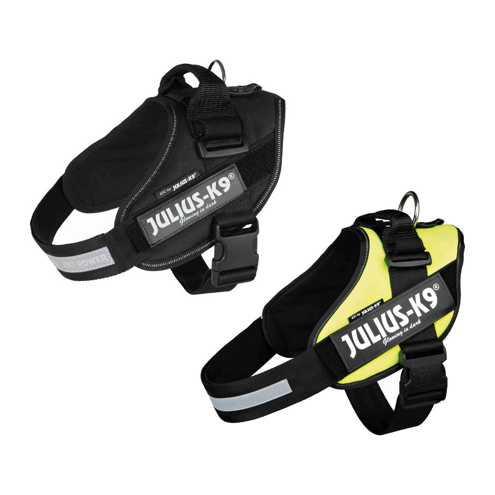 Julius K9 IDC Power Harness Dog Order
