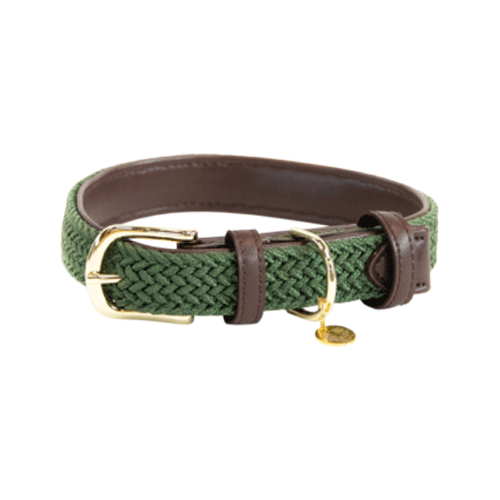 Kentucky Dogwear Nylon Hundehalsband Bestellen