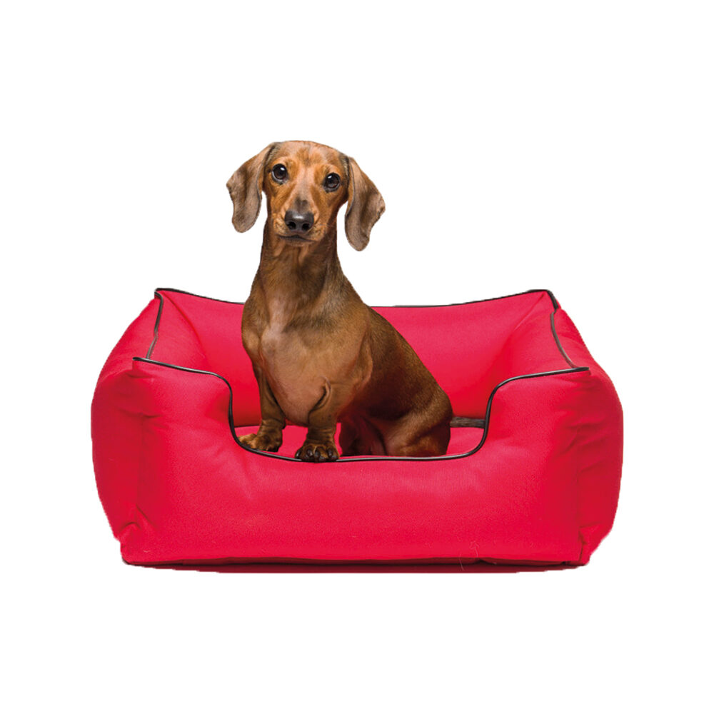 KONG Lounger Bed Red Dog Bed Order