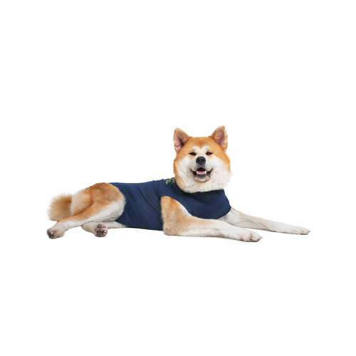 Medical Shirt | Hond | Bestellen