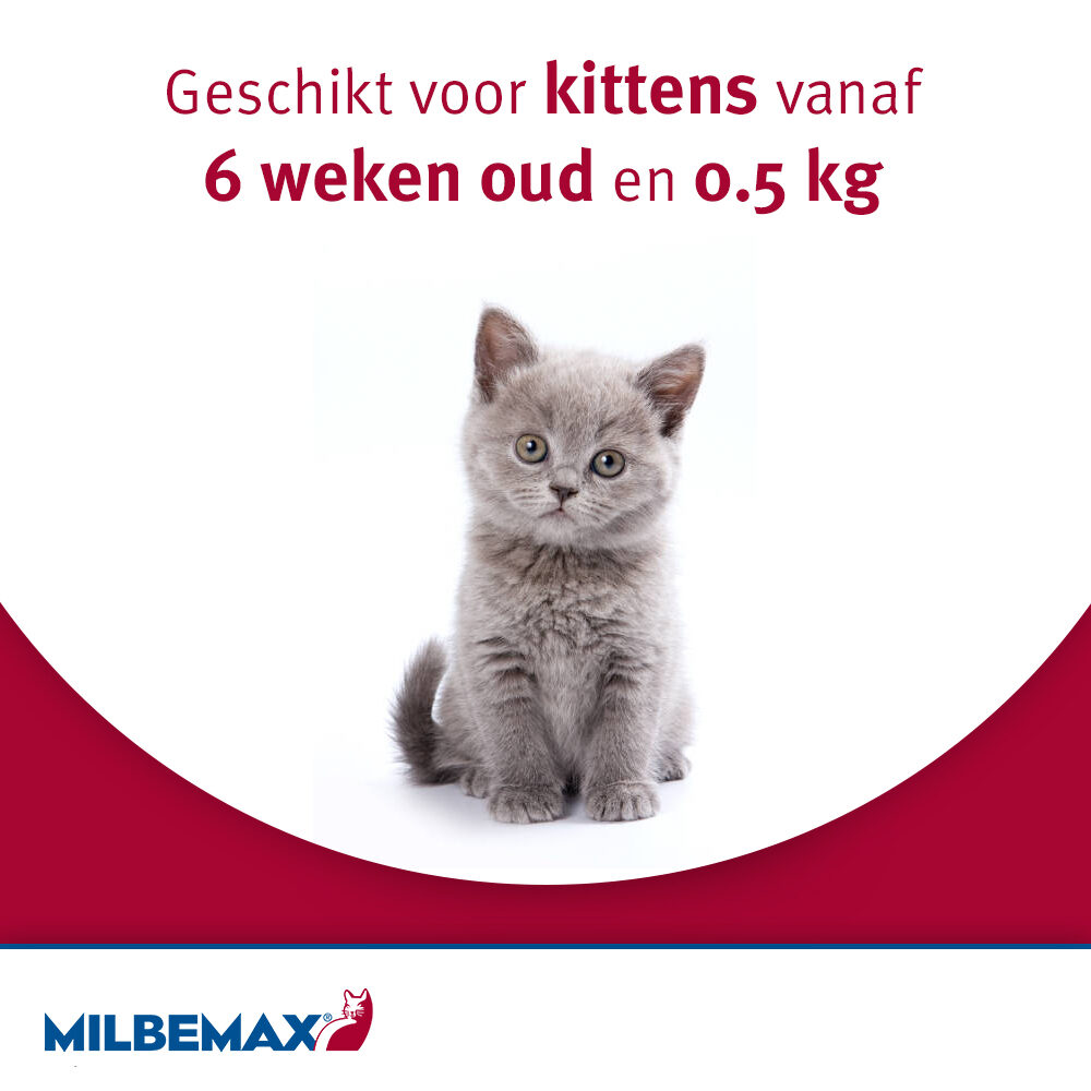 Milbemax | Wurmkur für große und kleine Katzen