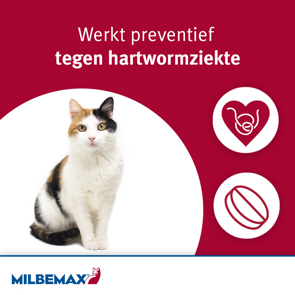 Milbemax | Wurmkur für große und kleine Katzen