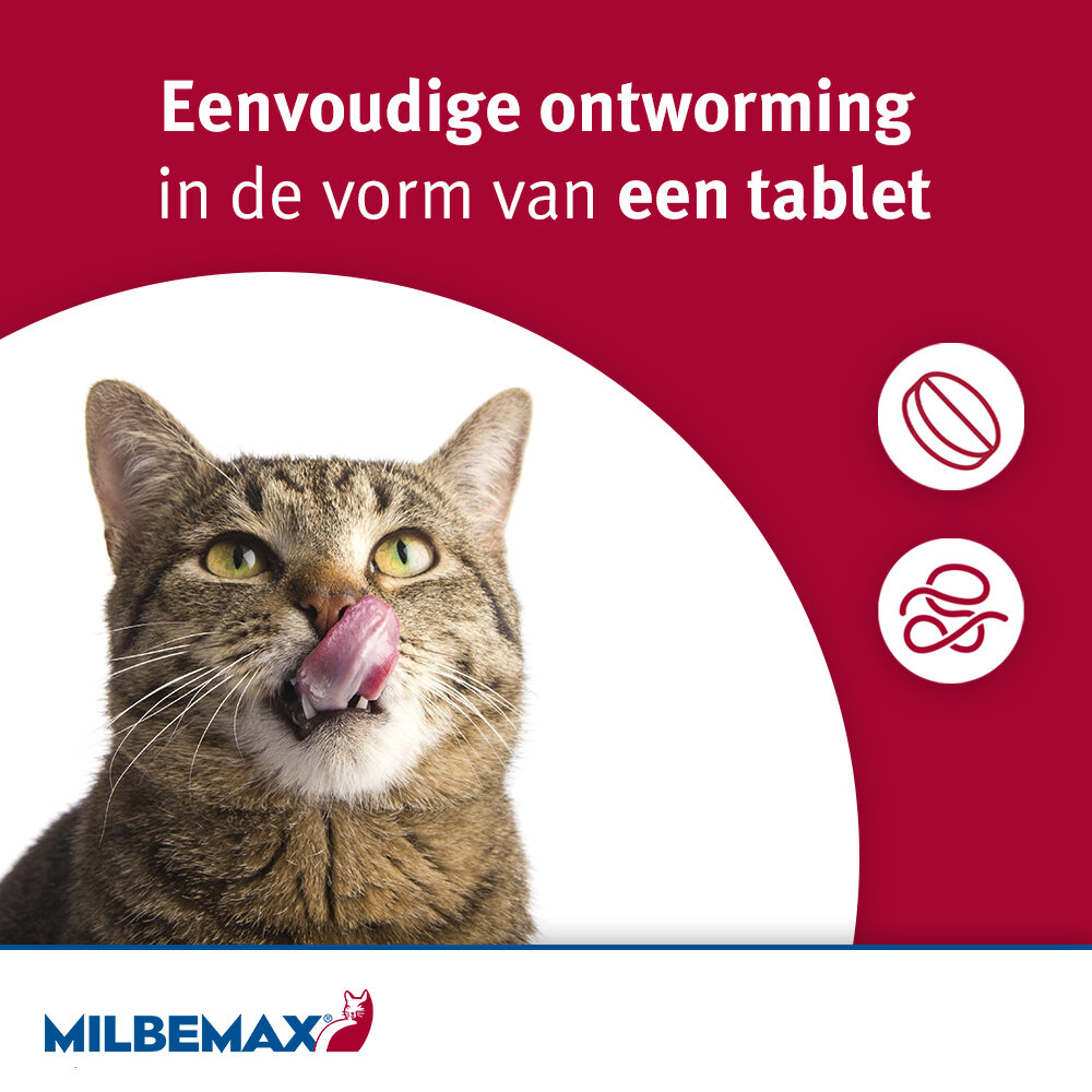 Milbemax | Wurmkur für große und kleine Katzen
