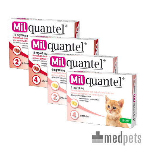 Product afbeelding van Milquantel Kat