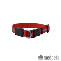 Lichtgevende halsband hond | Medpets.be Lichtgevende halsband hond | Medpets.be
