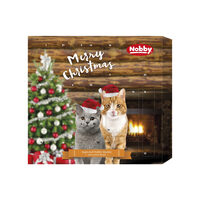 Nobby Starsnack Adventskalender für Katzen
