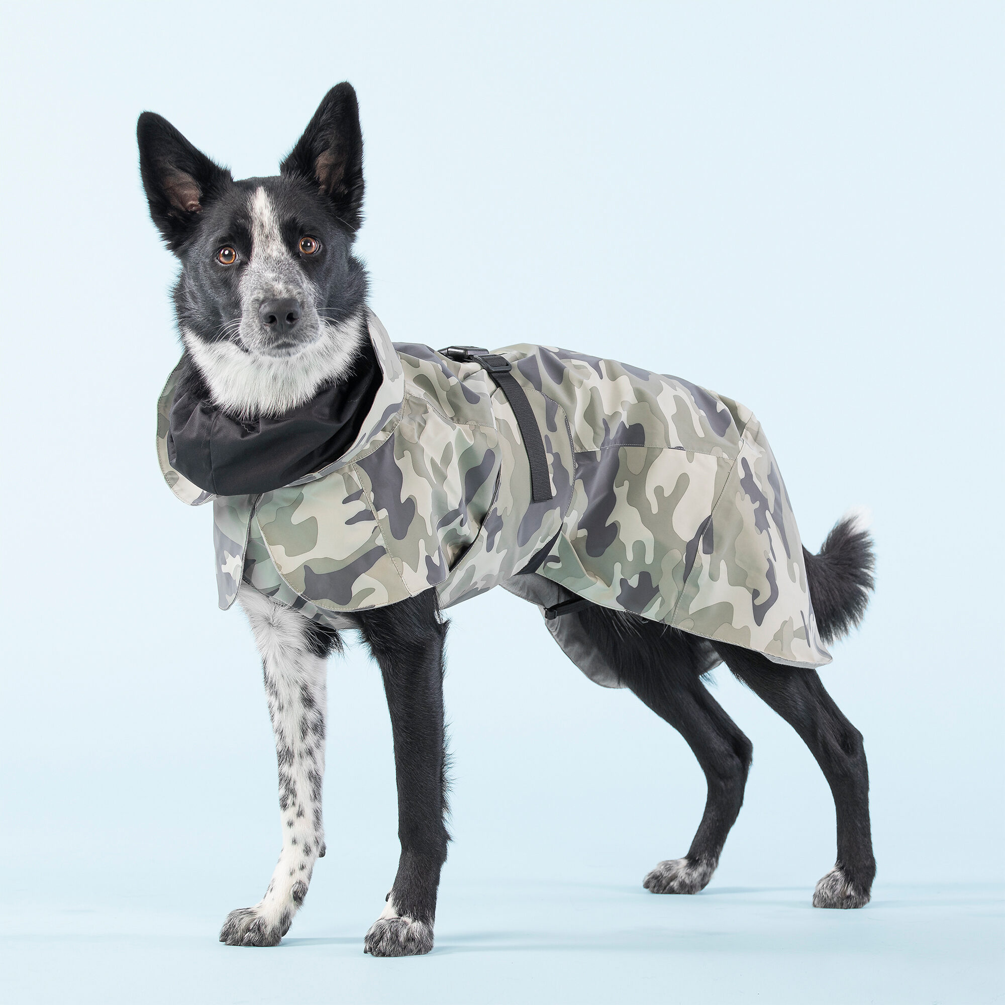 PAIKKA Recovery Raincoat Camo Hunde Bestellen paikka-recovery-raincoat-camo-hunde-bestellen