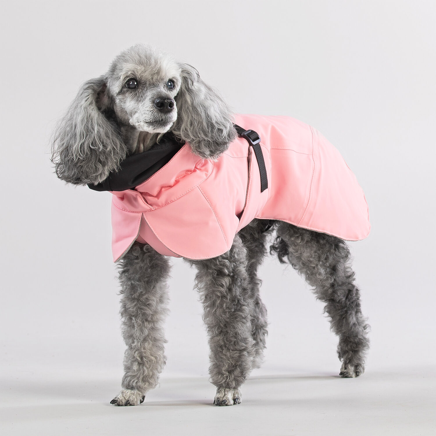 Weihnachtlicher Hundemantel – Doppelseitiger Fleece, Verstellbar, Mit Plüschkanten & Bommel