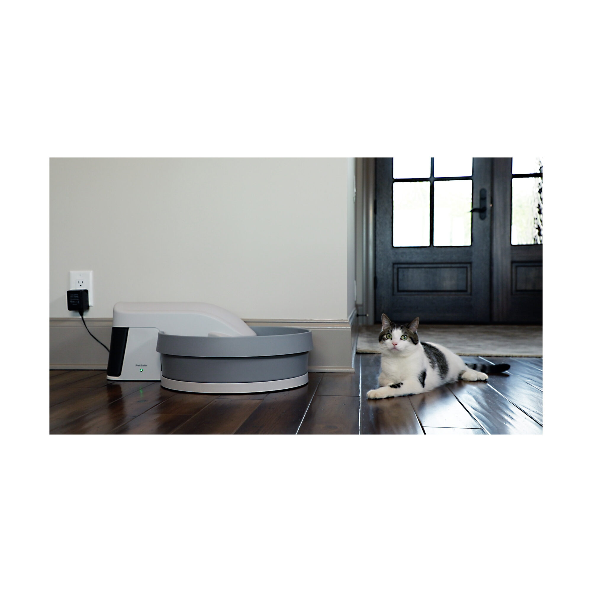 Petsafe Simply Clean Automatic Litter Box bestellen