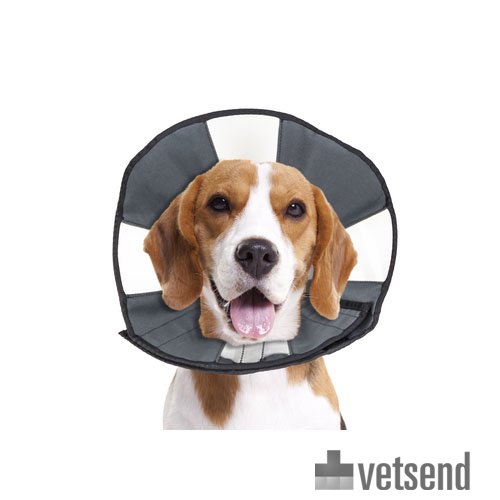 ZenPet Zen Collar Order